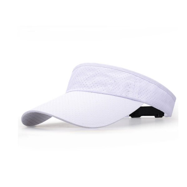 BSV-Sunvisor - Image 3
