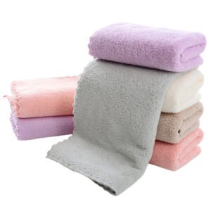 TOW-2-Coral Fleece Towel